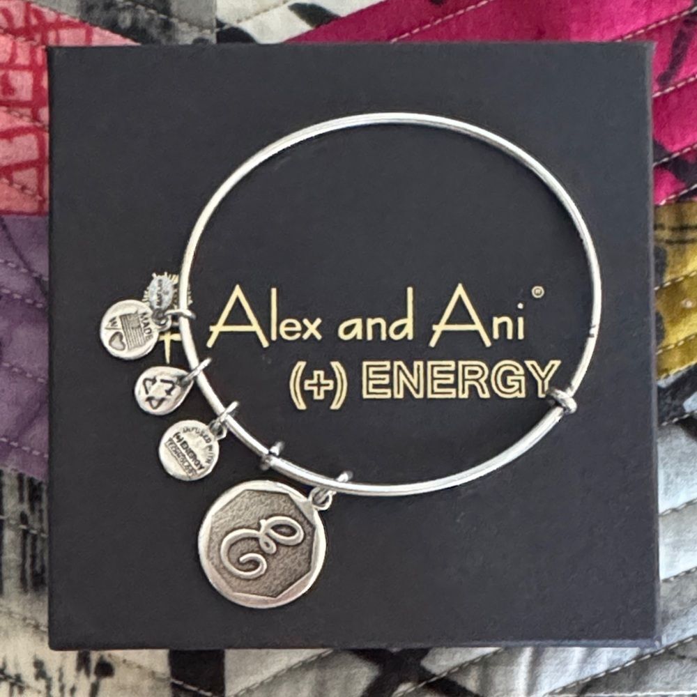 Alex and Ani Silver Tone Charm Bracelet with Engraved Discs Letter E